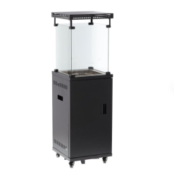 OUTDOOR GAS PATIO HEATER